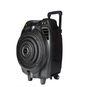 10in Portable Bluetooth Dj Speaker