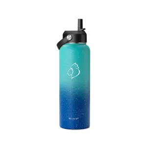 stainless steel water bottle with straw | Starry Pacific | 40oz